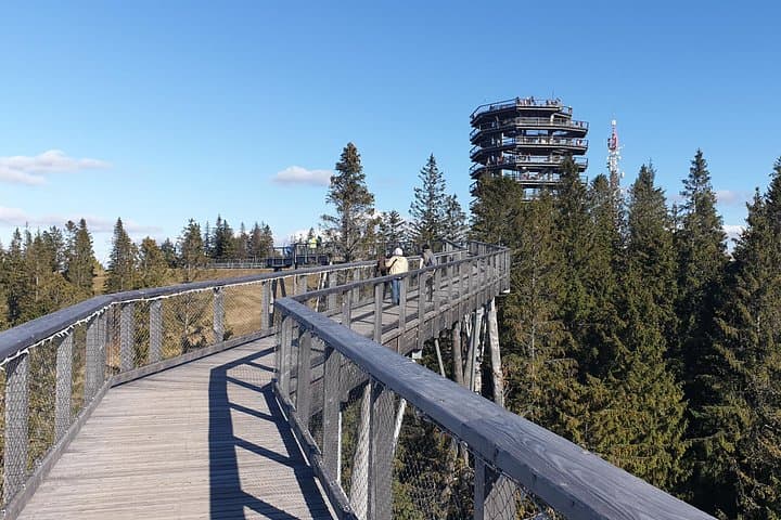 Full-Day Private Tour: Bachledka Treetop Walk & Zakopane Day Trip from Krakow photo 1