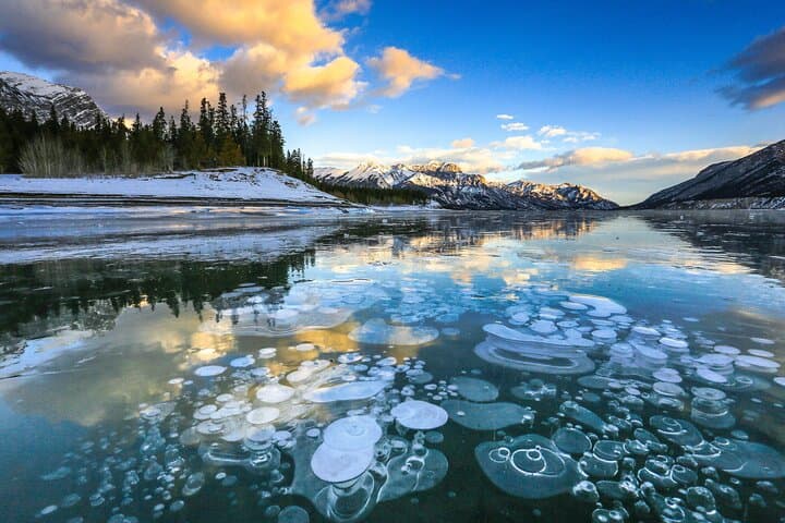 Icefields Parkway Winter Day Trip: Abraham Lake Ice Bubbles & Peyto Viewpoint photo 5