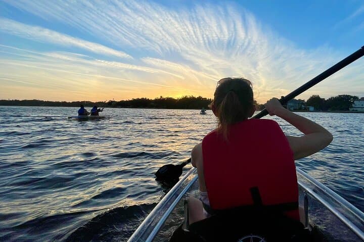 Clear Kayak Manatee Tour — Paddle Tarpon Springs' Anclote River photo 6
