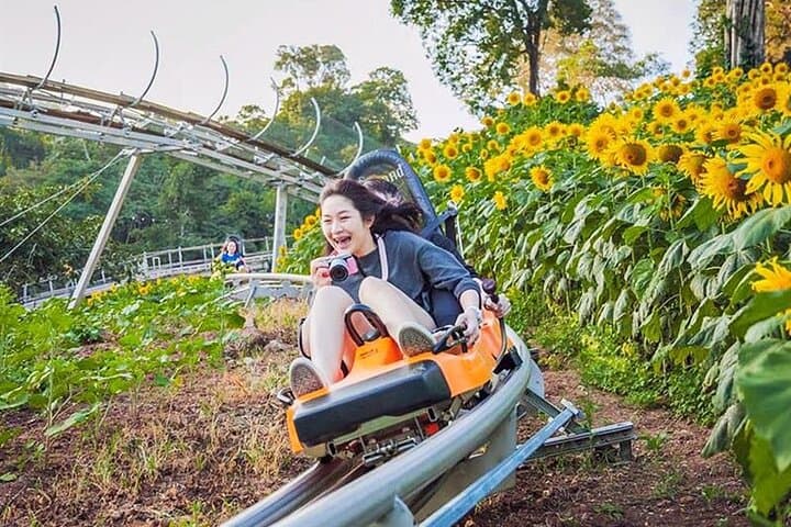 Chiang Mai Jungle Coaster, Zipline & ATV Day Trip with Elephant Poo Poo Paper Park photo 3