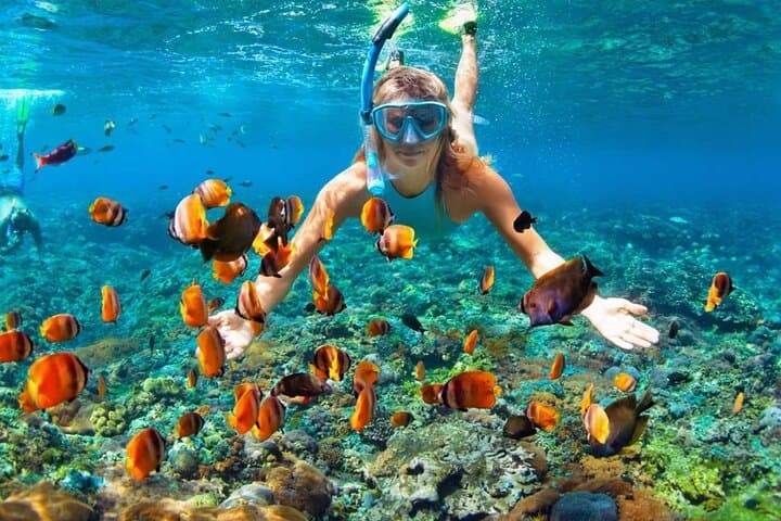 Full-Day Similan Islands Speedboat & Snorkel from Phuket photo 3