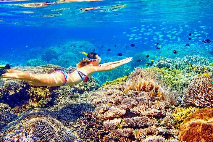 Full-Day Similan Islands Speedboat & Snorkel from Phuket photo 2