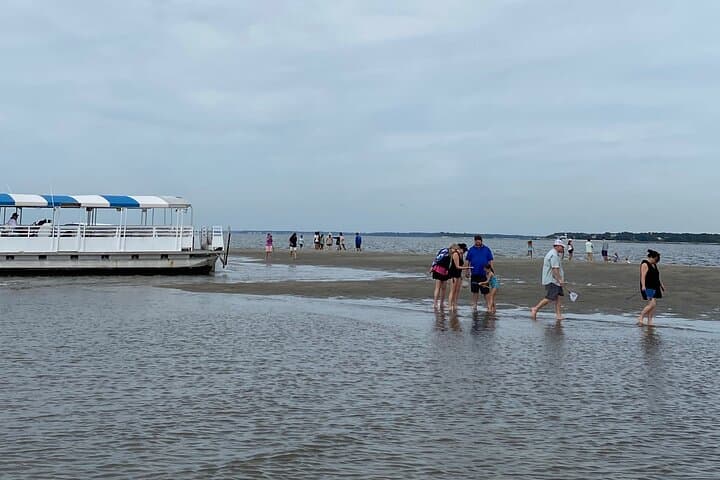 Hilton Head Dolphin Tour with Disappearing Island Stop — 2-Hour Boat Excursion photo 6