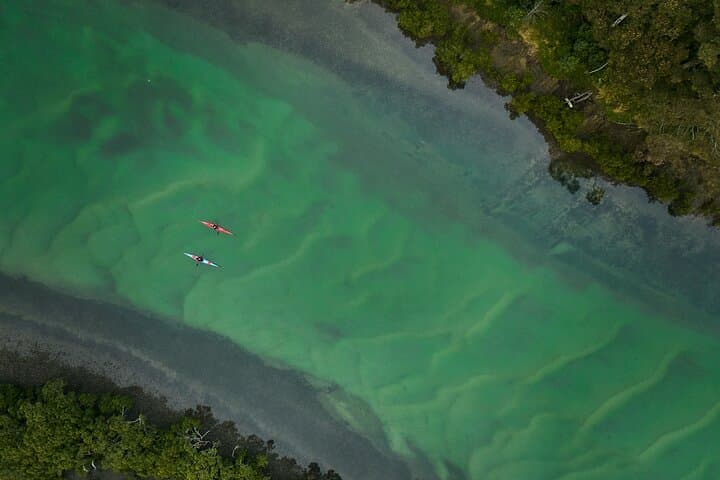 Bermagui River Kayak Tour: Morning Paddle Through Mangroves & Birdlife