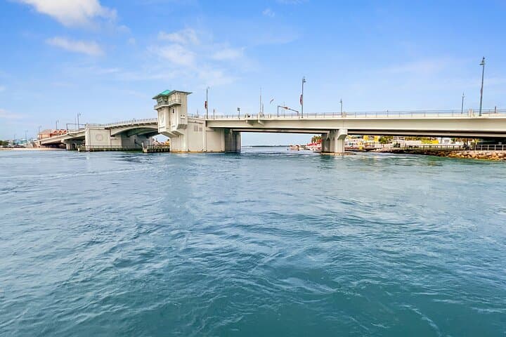 John's Pass Dolphin Watching Cruise — 90-Minute Eco Tour in Madeira Beach, FL photo 5