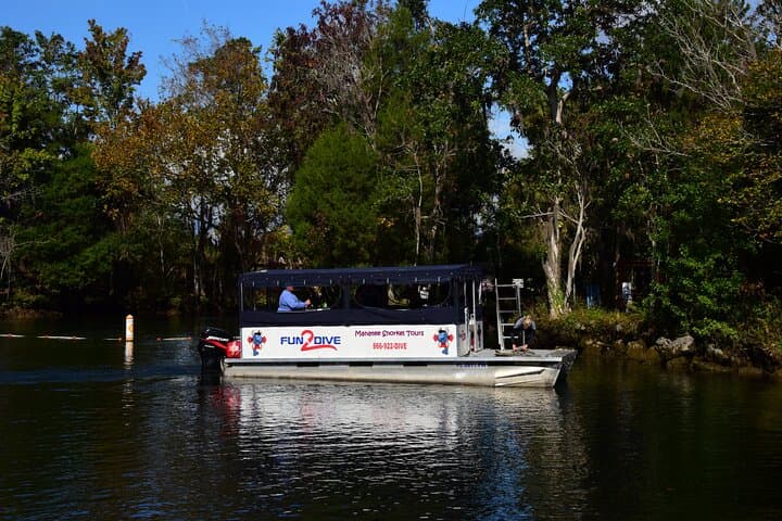 Swim with Manatees in Crystal River: A Small Group Snorkel Adventure photo 5