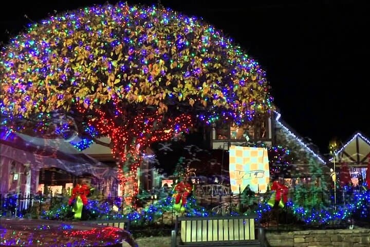 Smoky Mountain Holiday Light Spectacular — Gatlinburg, Pigeon Forge & Shadrack's Show photo 4