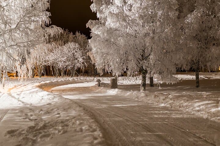 Arctic Ice Karting in Rovaniemi: High-Speed 500m Ice Track Experience photo 5