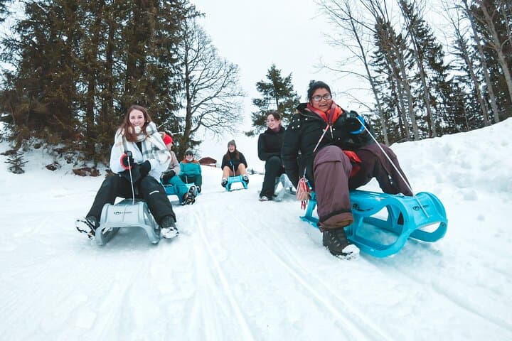 Snowshoe & Sled in Sulwald: Swiss Alpine Winter Adventure from Interlaken photo 6