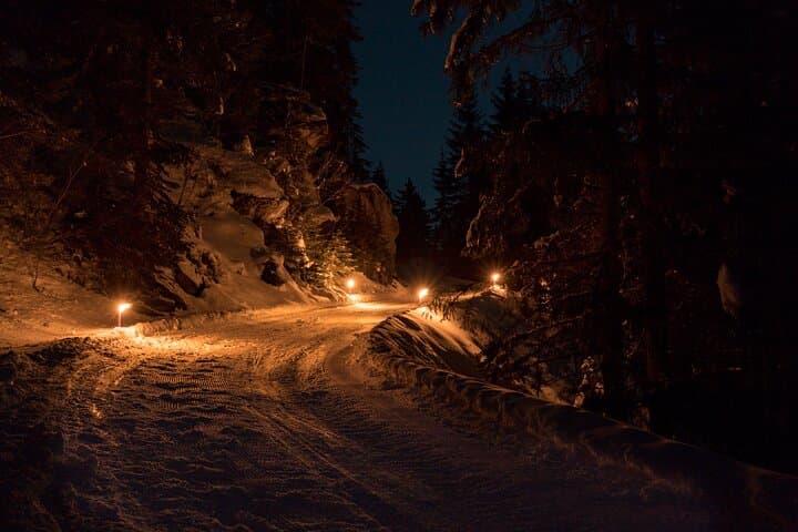 Night Sledding from Interlaken: Moonlit Sled Ride Through Forests & Frozen Waterfalls photo 6