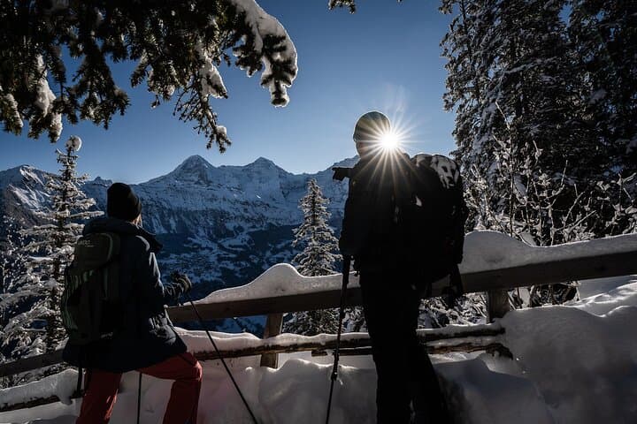 Snowshoe & Sled in Sulwald: Swiss Alpine Winter Adventure from Interlaken photo 2