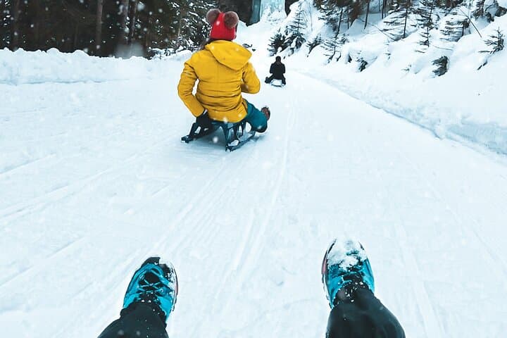 Snowshoe & Sled in Sulwald: Swiss Alpine Winter Adventure from Interlaken photo 5