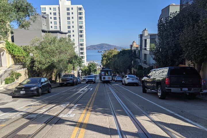 San Francisco Day Tour: Muir Woods, Golden Gate & Sausalito photo 4