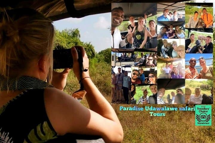 Morning Elephant Safari in Udawalawe — Private Pickup from Tangalle photo 1