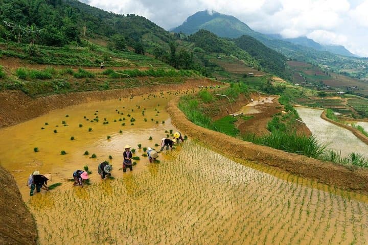 6-Day Private Vietnam Tour: Hanoi, Ha Long Bay & Sapa photo 1