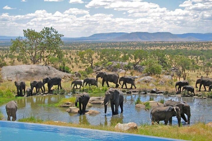 Full-Day Hluhluwe-Imfolozi Game Reserve Safari from Durban — Big Five in a Day