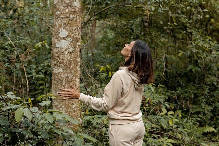 Forest Bathing in Iguaçu National Park: Shinrin-Yoku on Canafístula & São João Trails photo 1