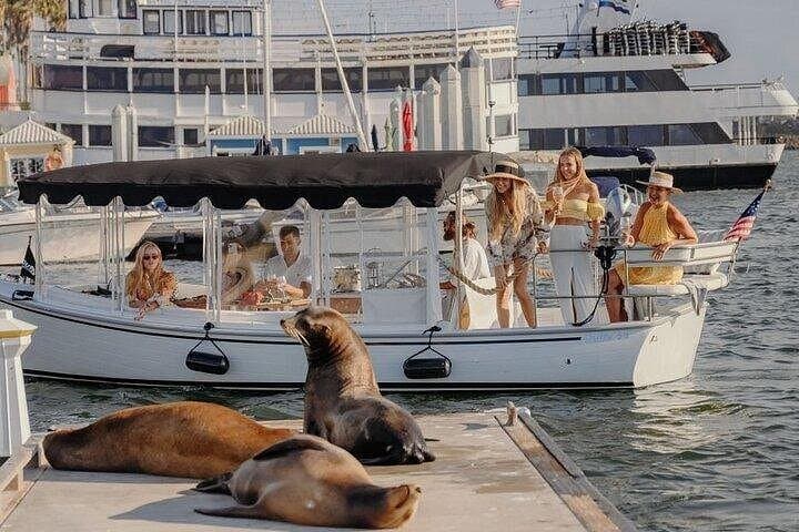 Marina del Rey Private E‑Boat Cruise: Wine, Charcuterie & Sea Lion Spotting photo 1