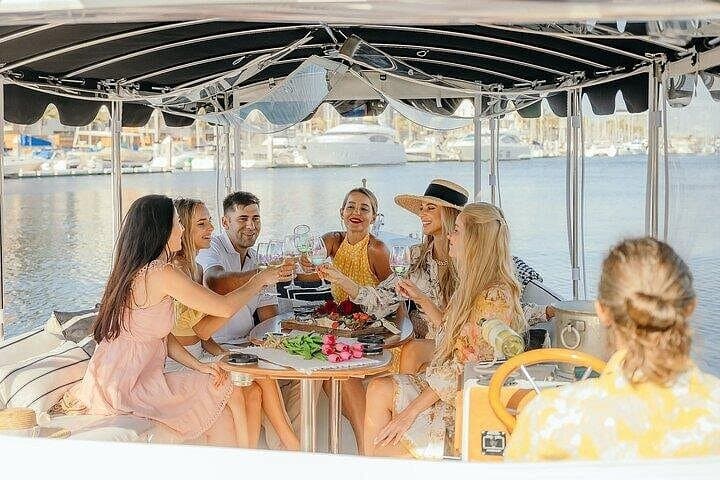 Marina del Rey Private E‑Boat Cruise: Wine, Charcuterie & Sea Lion Spotting photo 2