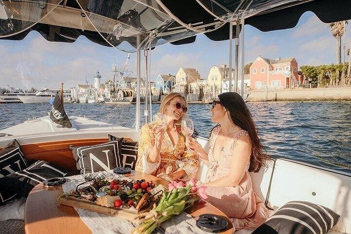 Marina del Rey Private E‑Boat Cruise: Wine, Charcuterie & Sea Lion Spotting photo 4