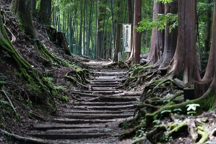 Overnight Pilgrimage: 2-Day Guided Hike & Authentic Temple Stay on Shichimenzan photo 2