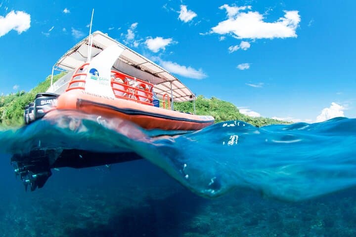 Bali Reef Cruise to Nusa Lembongan: Catamaran Snorkel, Banana Boats & Guided Dives photo 5