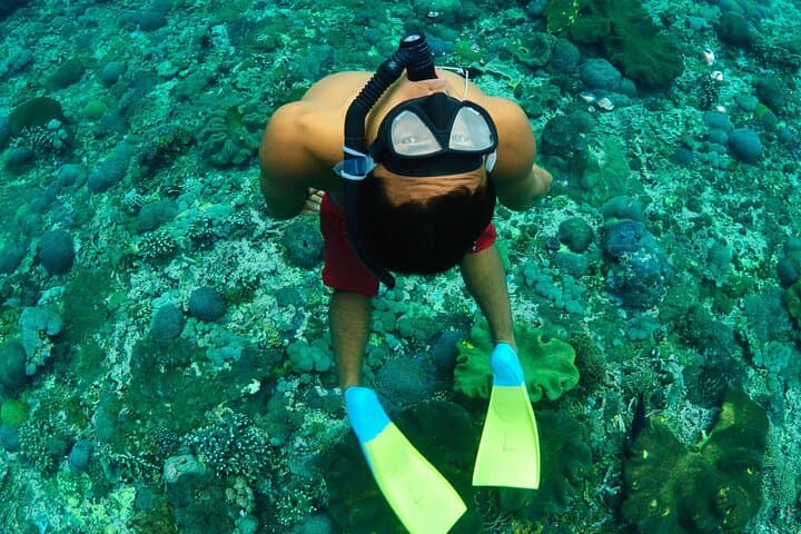 Bali Reef Cruise to Nusa Lembongan: Catamaran Snorkel, Banana Boats & Guided Dives photo 3