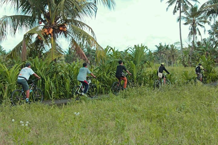Bali Countryside Eco Cycling Tour with Lunch: Downhill Rides & Cooking Class photo 1