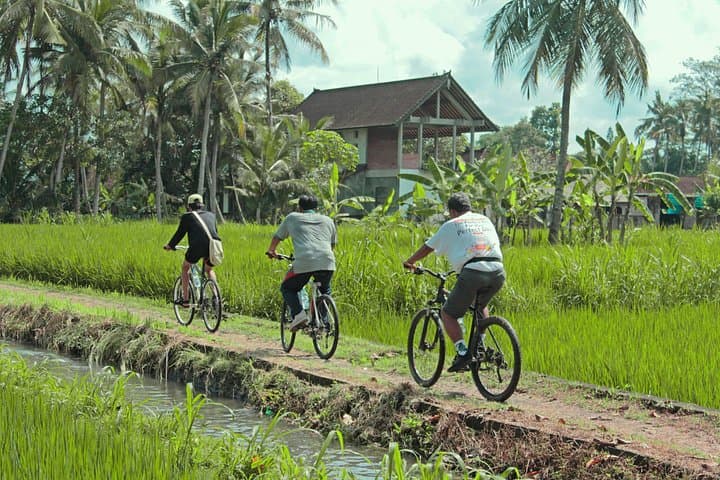 Bali Countryside Eco Cycling Tour with Lunch: Downhill Rides & Cooking Class photo 2