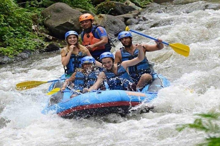 Ayung River Rafting in Ubud: White-Water Jungle Adventure and Cultural River Cruise photo 3