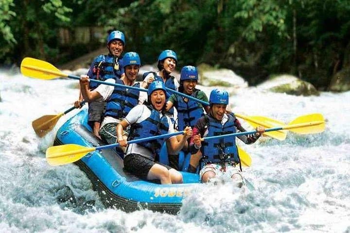 Ayung River Rafting in Ubud: White-Water Jungle Adventure and Cultural River Cruise photo 2