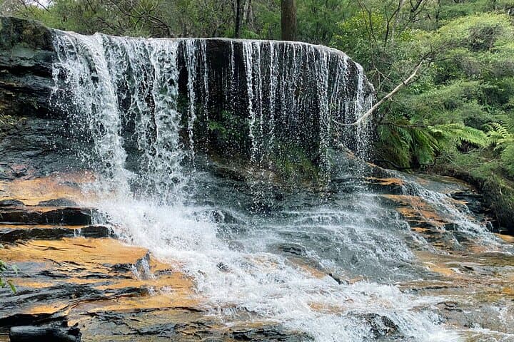 Ultimate Blue Mountains Private Tour: Scenic World, Wildlife Encounters & Parramatta River Ferry photo 4