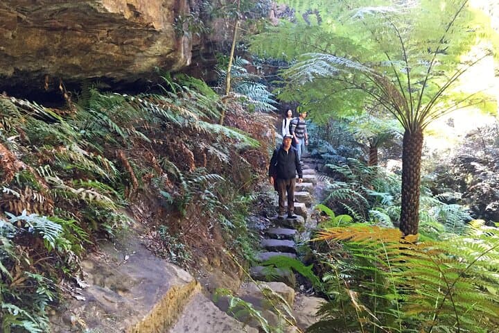 Ultimate Blue Mountains Private Tour: Scenic World, Wildlife Encounters & Parramatta River Ferry photo 6