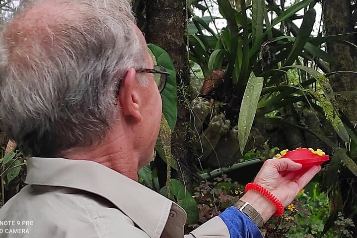 Mindo Cloud Forest Hummingbird & Orchid Private Tour from Quito photo 3
