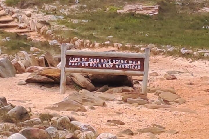 Cape Point, Penguins & Chapman’s Peak: Cape Peninsula Private Day Tour from Cape Town