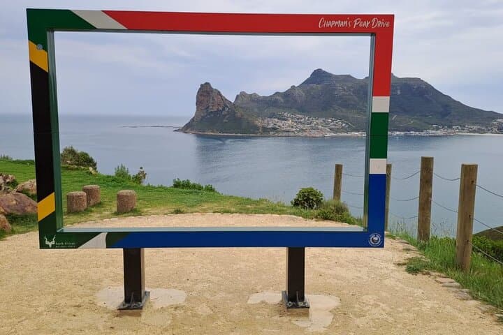 Cape Point, Penguins & Chapman’s Peak: Cape Peninsula Private Day Tour from Cape Town photo 6