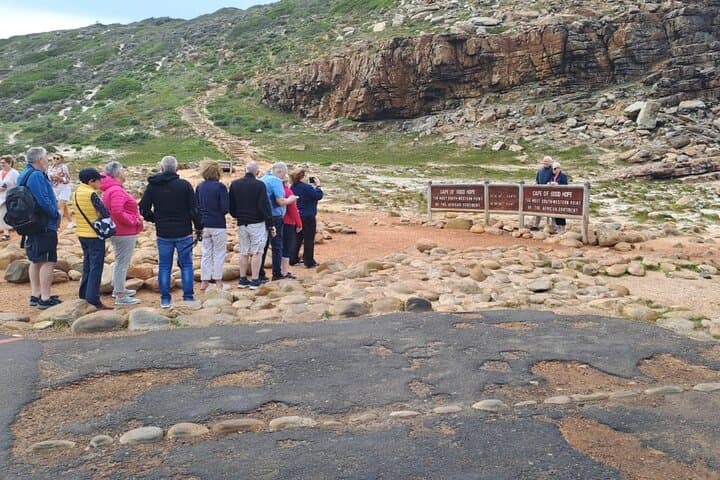 Cape Point, Penguins & Chapman’s Peak: Cape Peninsula Private Day Tour from Cape Town photo 5