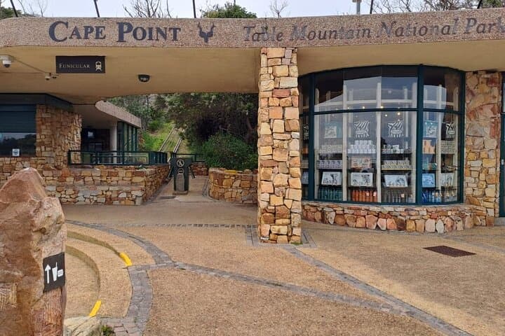Cape Point, Penguins & Chapman’s Peak: Cape Peninsula Private Day Tour from Cape Town photo 3