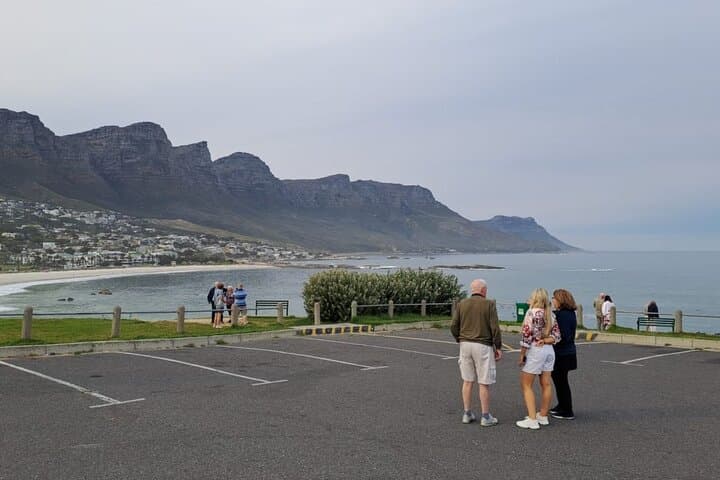 Cape Point, Penguins & Chapman’s Peak: Cape Peninsula Private Day Tour from Cape Town photo 2