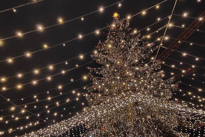 Day Trip from Amsterdam: Private Kölsch Christmas Markets in Düsseldorf & Cologne photo 4