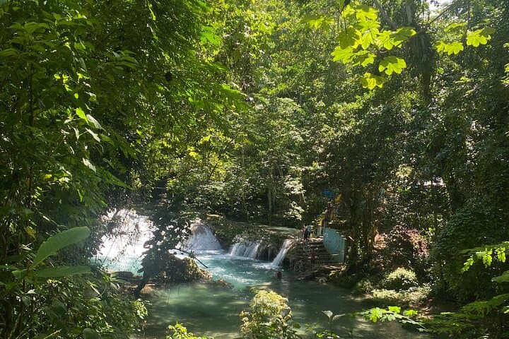 Dunns River Falls and Blue Hole: Combine Tour from Montego Bay photo 5