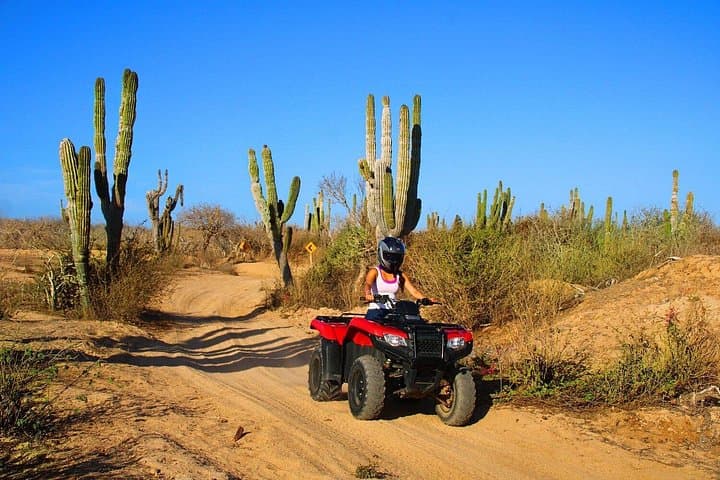 Cabo Private ATV Tour to the Pacific Arch: Hidden Arch & Desert Quesadillas photo 4