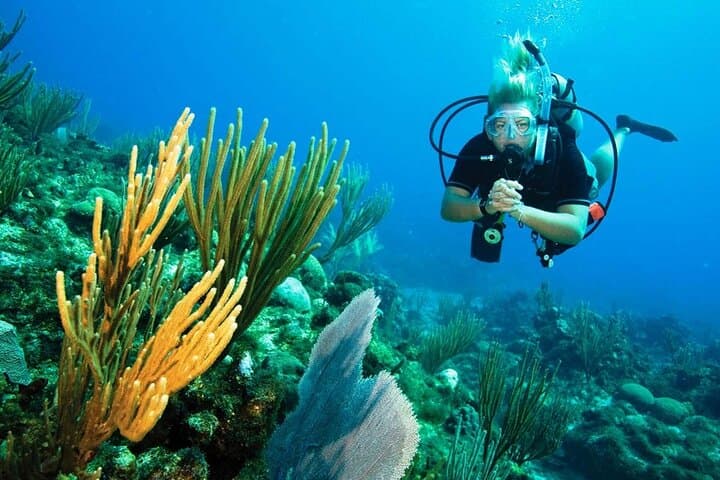 Pattaya PADI Try Dives: Two Introductory Scuba Dives with Instructor photo 6