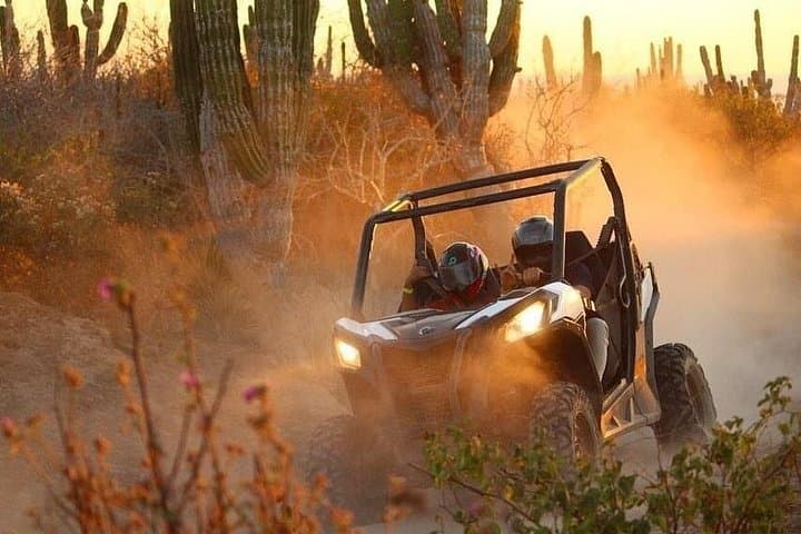 Private RZR Tour to Cabo's Hidden Pacific Arch and Desert Quesadilla Experience photo 6