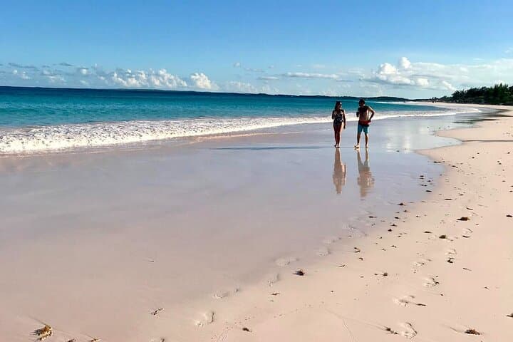 Pink Sands Beach and Swimming Pigs Day Trip from Nassau photo 3