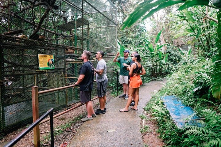 KSTR Re-Wilding Center Manuel Antonio: Sloth & Primate Sanctuary Tour photo 5