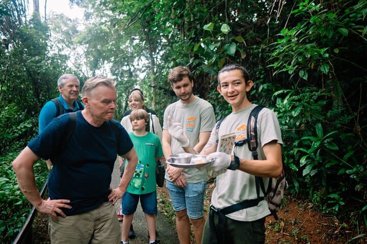 KSTR Re-Wilding Center Manuel Antonio: Sloth & Primate Sanctuary Tour photo 6