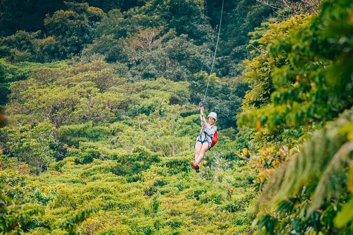 Monteverde Cloud Forest Zipline & Extreme Bungee: Canopy Adrenaline in Costa Rica photo 6