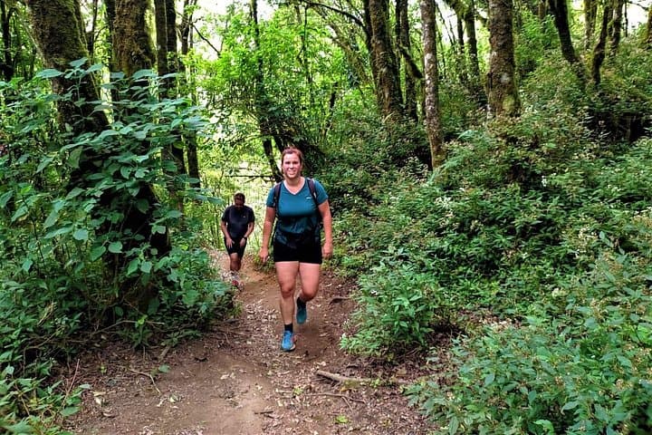 Overnight Mount Merbabu Camping from Yogyakarta — 2-Day Trek to Savanna Sunrise photo 4