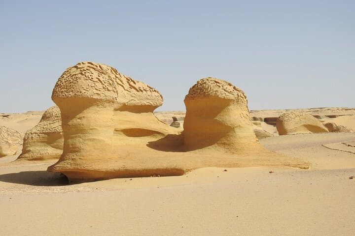 Full-Day Fayoum Oasis & Wadi El-Rayan Waterfalls Tour from Cairo photo 4